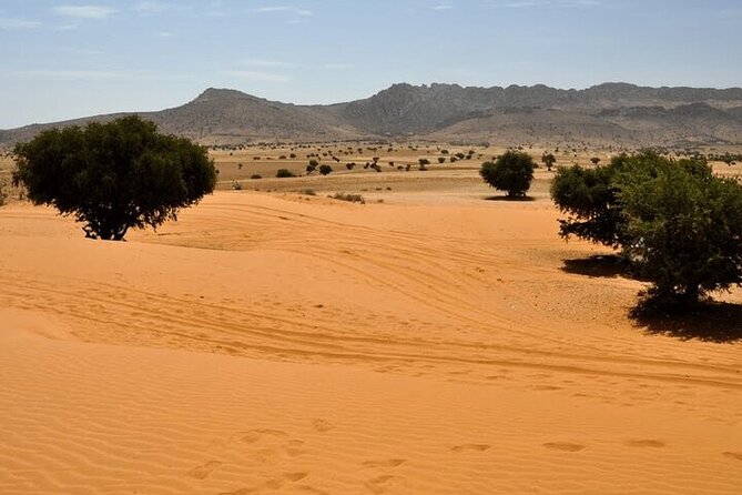 Atlantic Sahara and Ocean 4x4 Jeep Tour With Berber Lunch - Berber Lunch Experience