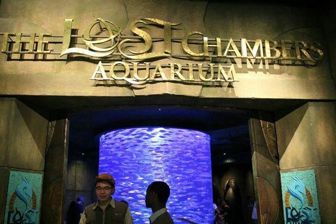 Atlantis Lost-Chamber Aquarium Dubai - Aquarium Experience Highlights