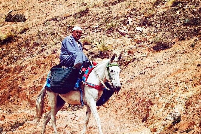 Atlas Mountain Tour With Camel Ride & Visiting Berber Villages - Itinerary Overview