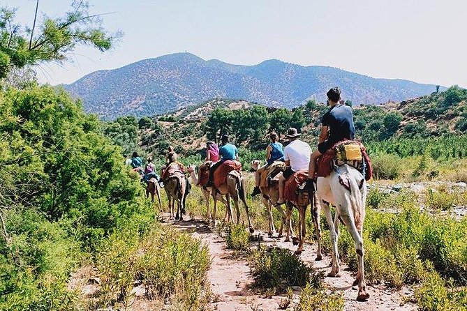 Atlas Mountains and Camel Ride Day Trip From Marrakech - Itinerary for the Day Trip