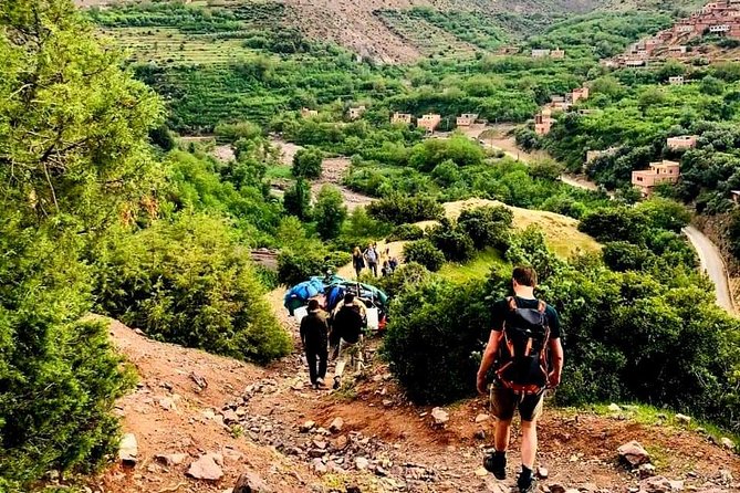 Atlas Mountains and Three Valleys & Waterfalls Guided Day Trip From Marrakech - Booking Information and Price