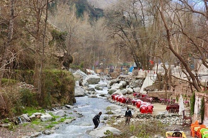 Atlas Mountains Day Trip to Ourika Valley - Transportation Details