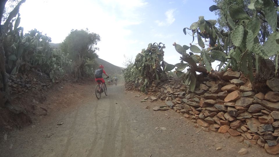 Atlas Mountains E-Bike Tour - 2 Days - Activity Experience