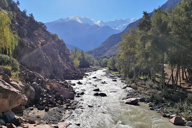 Atlas Mountains Half-Day Tour From Marrakech - Pickup and Departure Information