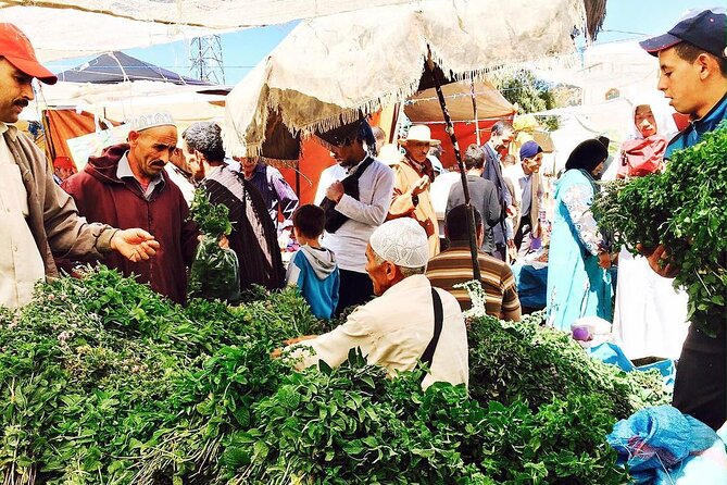 Atlas Mountains Small Group Cooking Class  - Marrakech - Booking Information