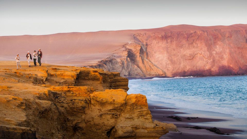 ATV Adventure Ballestas Island and Paracas National Reserve - Experience Highlights