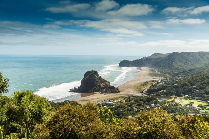 Auckland City, West Coast, & Piha Beach Private Full-Day Tour - Customer Reviews and Ratings
