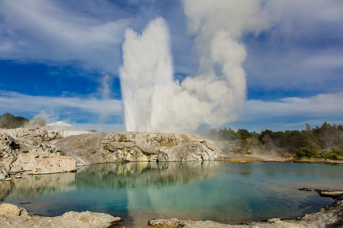 Auckland to Rotorua Private Tour - Inclusions