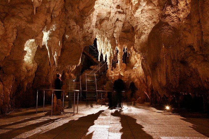 Auckland to Waitomo Caves Private Tour - Booking Information