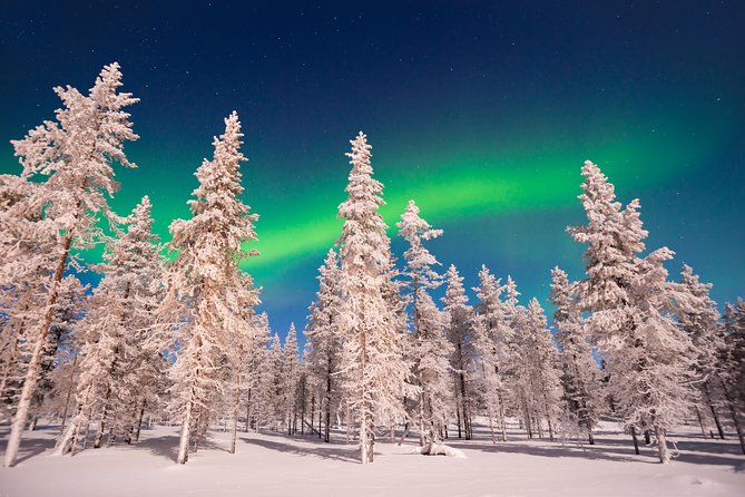 Aurora Borealis Hunt by Car - Driving Tips and Safety Precautions