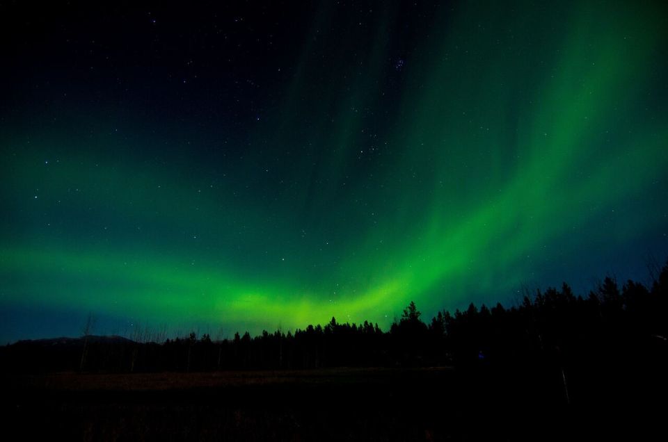 Aurora Borealis Quest: Private Yukon Nighttime Tour - Experience Highlights