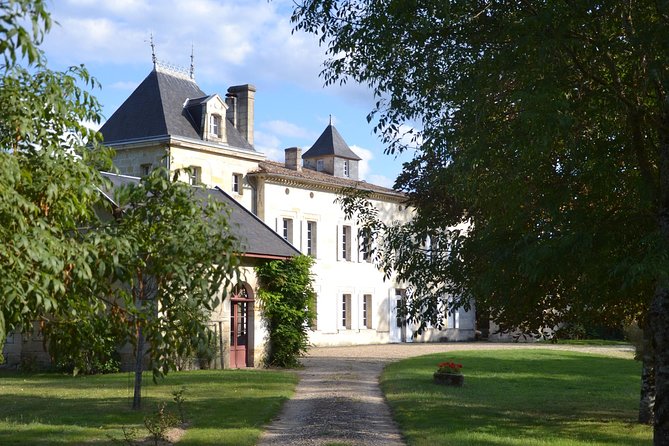 Authentic Château Chatain Wine Tasting & Vines Leaves Hunting - Wine Tasting Experience