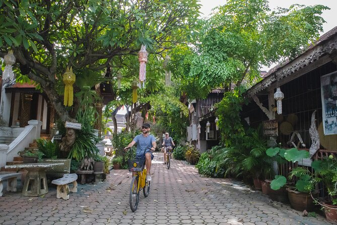 Authentic Chiang Mai 4-Hour Bicycle Tour - Tour Operator Information