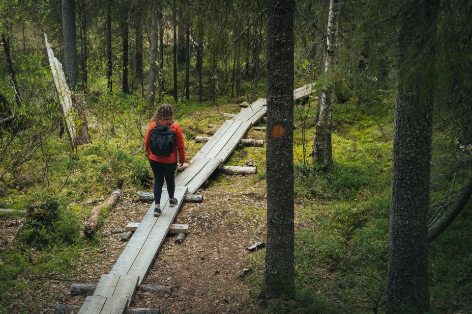 Auttiköngäs Hiking Experience - Experience Highlights