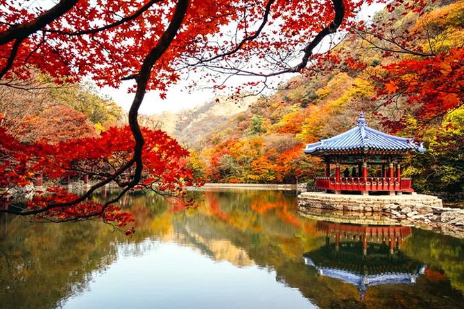 Autumn 8 Days South Korea Tour Including Jeonju,Damyang,Mt.Naejangsan - Transportation Information