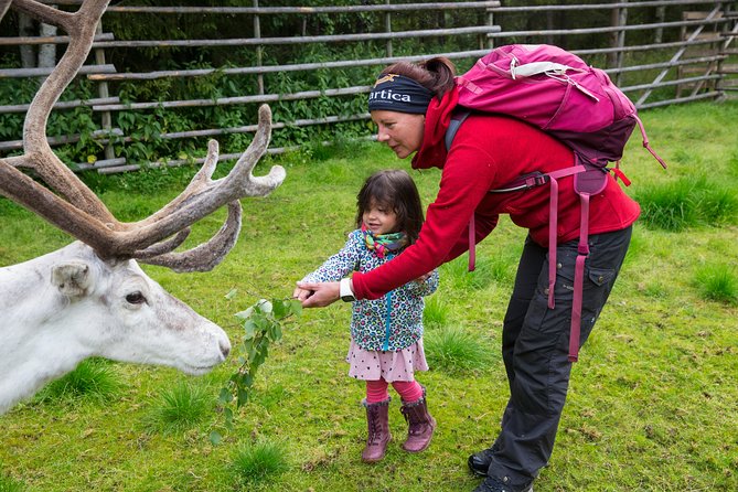 Autumn Delight - Visit to Husky, Reindeer and Santa Claus in Rovaniemi - Important Information