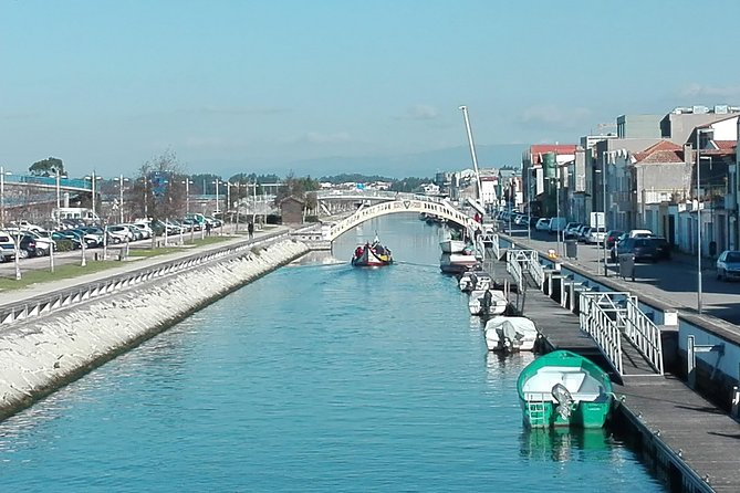 Aveiro, Costa Nova Beach and Moliceiro Boat, Half-Day From Coimbra - Reviews