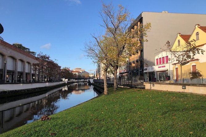 Aveiro Rent a Bike - 4 Hours - Exploring Aveiro on Two Wheels