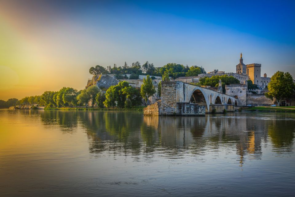 Avignon City of Popes & Wine Tasting Private Full Day Tour - Experience Highlights