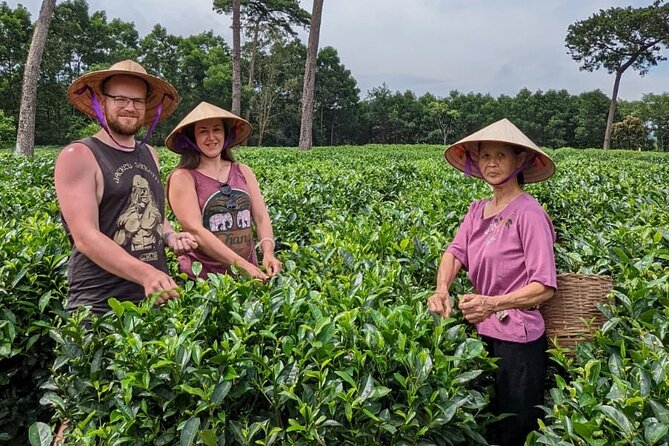 Ba Vi Village Culture and Farming Small-Group Tour  - Hanoi - Location and Duration