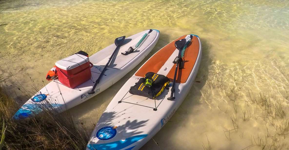 Bacalar: Full-Day Paddleboard Rental - Experience and Equipment