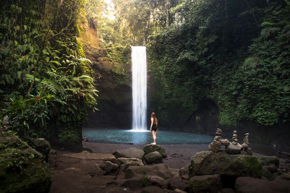 Bali: 2 Spot Snorkeling, The Monkey Bar & Best Waterfalls - Activity Highlights