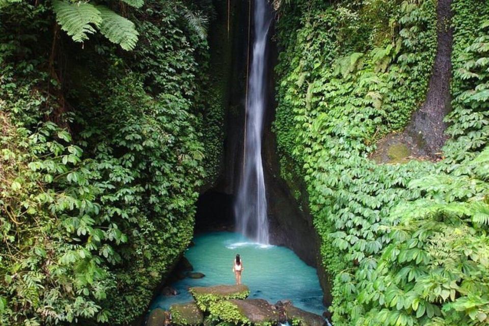 Bali: Amazing Secret Waterfall at North Bali - Experience Highlights