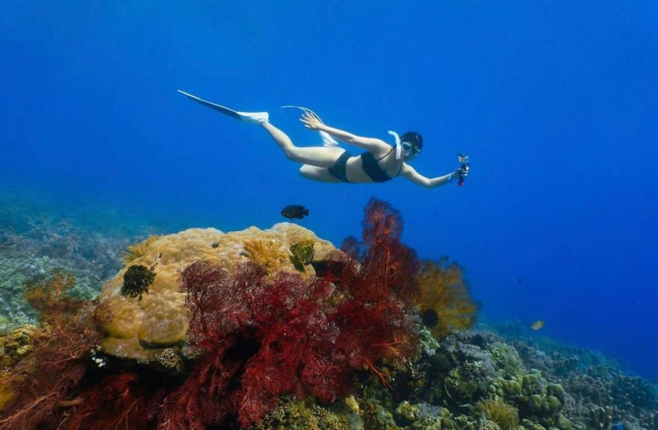 Bali: Amed, Jemeluk & Lipah Beach Snorkeling Adventure - Snorkeling Experience