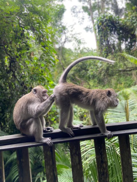 Bali Best of Ubud Surounding Tour With Barong & Keris Dance - Tour Highlights