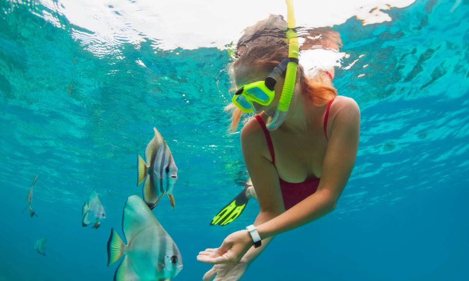 Bali: Blue Lagoon Snorkeling and Tanjung Jepun Private Tour - Experience Highlights