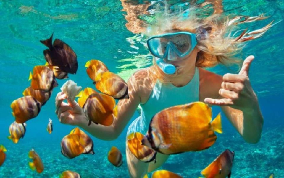 Bali Blue Lagoon Snorkeling: Inclusive of Lunch & Transport - Location Details