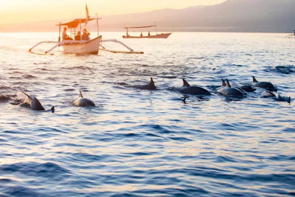 Bali: Dolphin Watching, Snorkeling & Hot Spring Tour - Duration & Availability