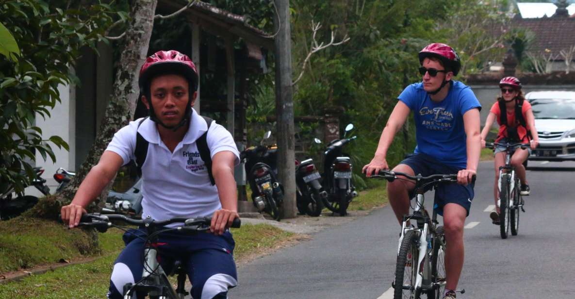 Bali Downhill Cultural Cycling Tour - Cultural Experience Highlights