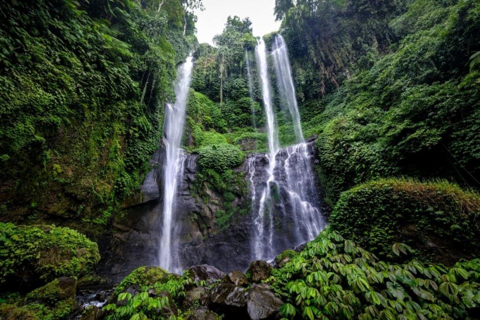Bali: Hill Side Lemukih Treeking With Amazing View - Experience Highlights