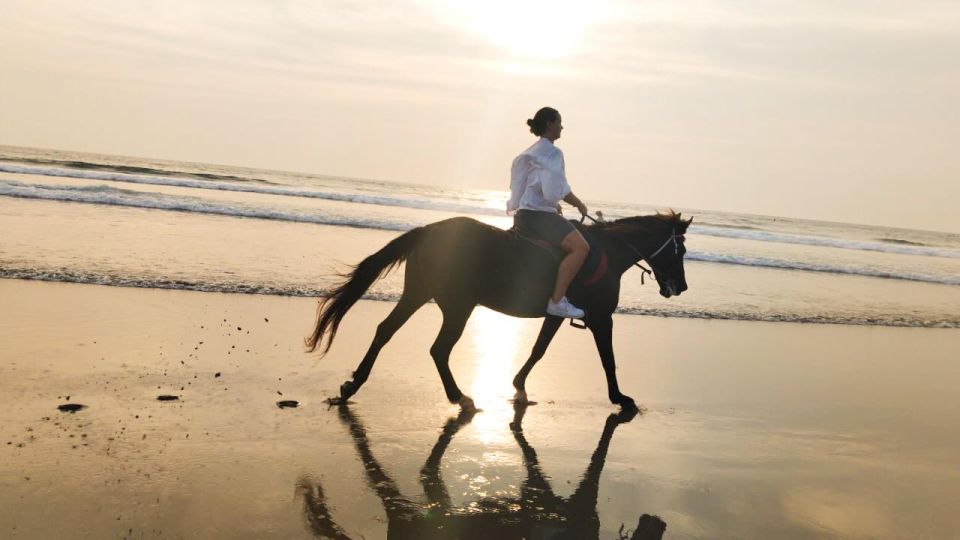 Bali: Horse Riding Seminyak Beach 1 Hour Experience - Experience Inclusions