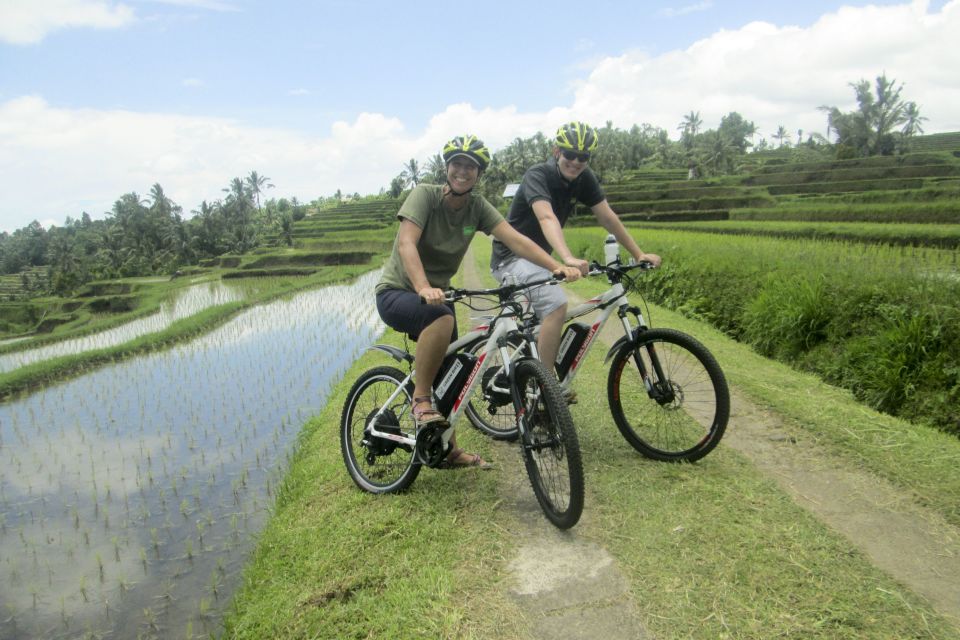 Bali: Jatiluwih Full-Day E-Bike and Trekking Tour - Experience Highlights