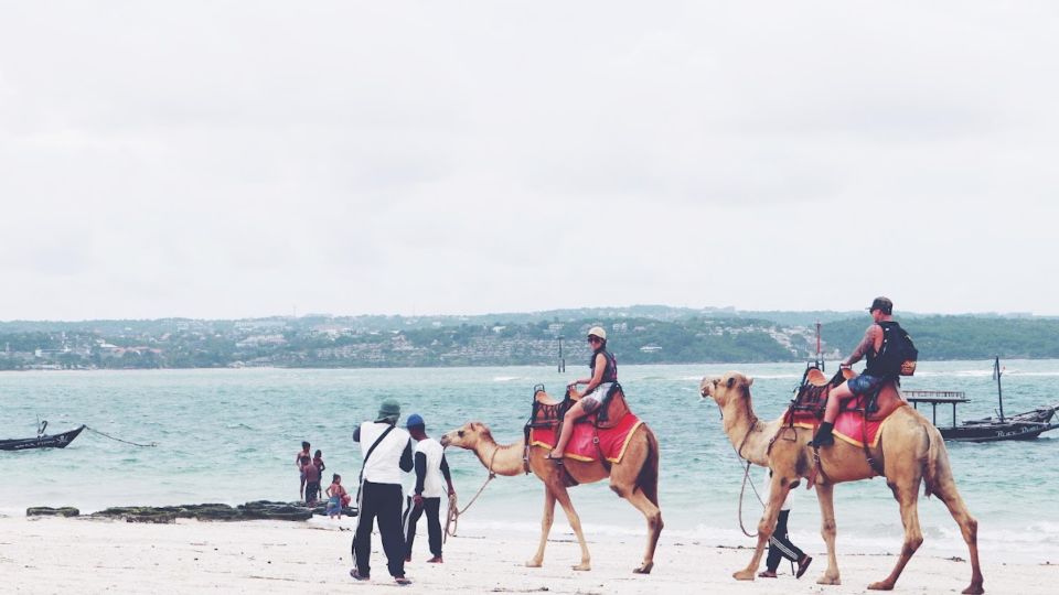 Bali: Kelan Beach Camel Rides Experiences - Experience Highlights at Kelan Beach