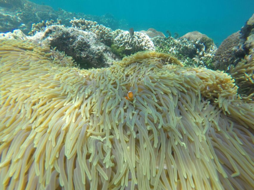 Bali: Labuan Amuk Snorkeling With Lunchbox - Activity Inclusions