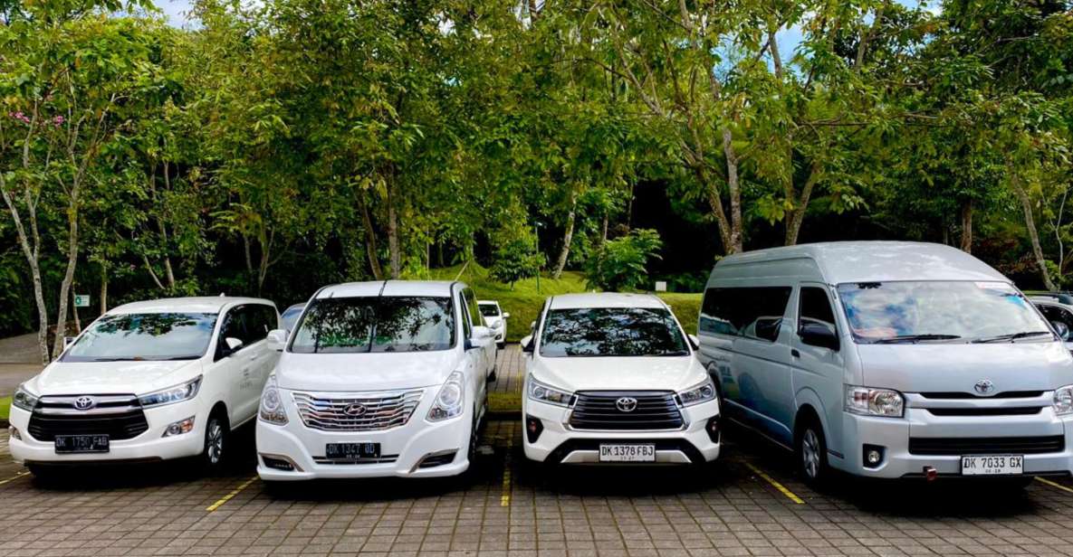 Bali: One Day Private Car Charter With Driver - Customer Reviews