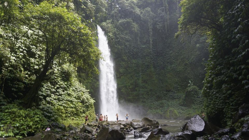 Bali Private Tour Best Waterfall With Tanah Lot Temple - Tour Highlights