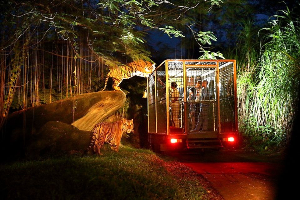 Bali: Return Private Transfer for Night Safari - Top-Rated Customer Reviews