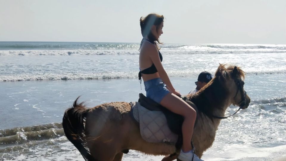 Bali: Seminyak Beach Horse Riding Experience - Experience Highlights