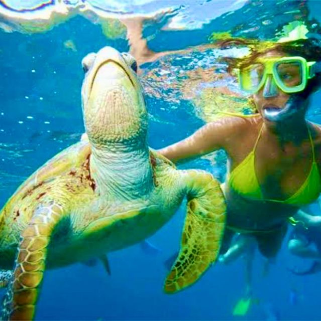 Bali: Snorkeling at Blue Lagoon Beach With Lunch & Transport - Transportation and Pickup