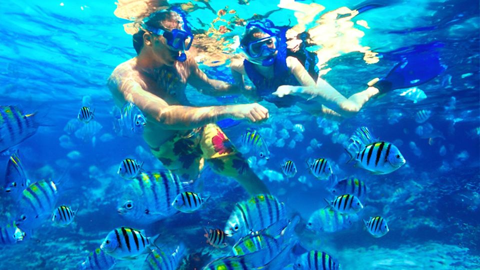 Bali: Snorkeling on 2 Spots With Lunch and Transport - Snorkeling at Tanjung Jepun Spot