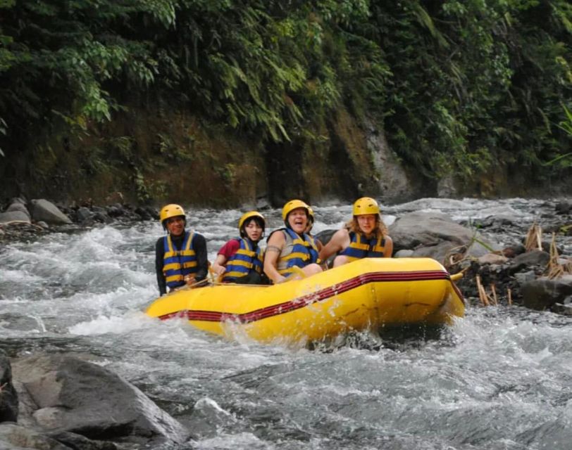 Bali: Telaga Waja River Rafting Small-Group Tour With Lunch - Experience Highlights