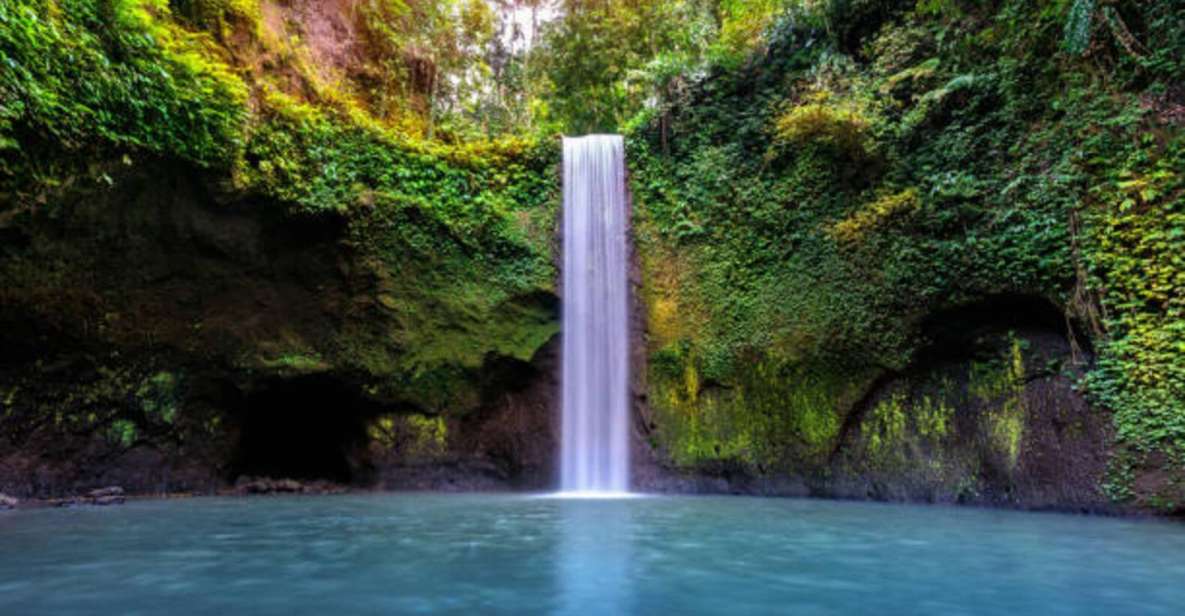 Bali: Ubud Waterfall Tour - Scenic Tegallalang Rice Terrace