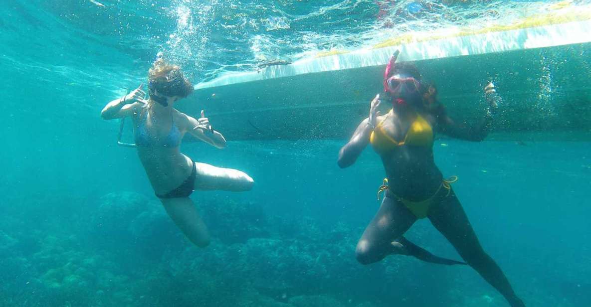 Bali: West Island Full Day Tour With Nusa Penida Snorkelling - Full Description