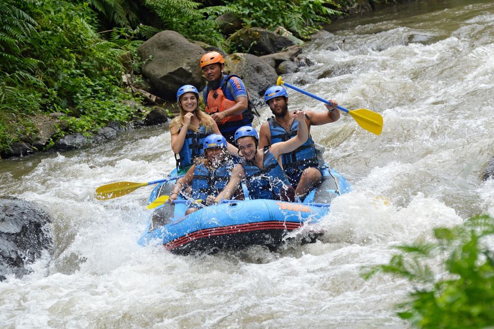 Bali White Water Rafting: Lunch & Private Transfer Included - Activity Details and Highlights