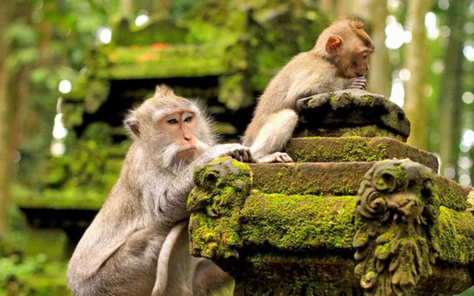 Bali:Ubud Monkey Forest,Rice Terrace,Waterfall & Temple Tour - Booking Information