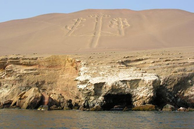 Ballestas Islands and Paracas National Reserve Day Trip From Paracas - Visit to Candelabra Geoglyph